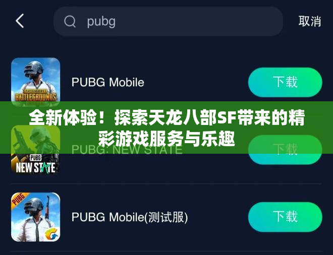 全新体验！探索天龙八部SF带来的精彩游戏服务与乐趣