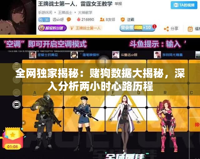 全网独家揭秘：赌狗数据大揭秘，深入分析两小时心路历程