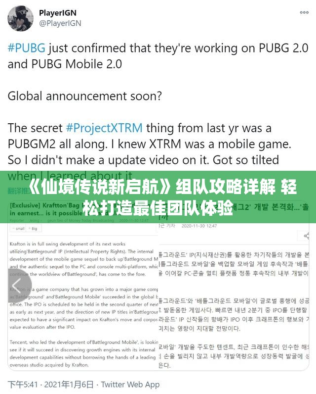 《仙境传说新启航》组队攻略详解 轻松打造最佳团队体验