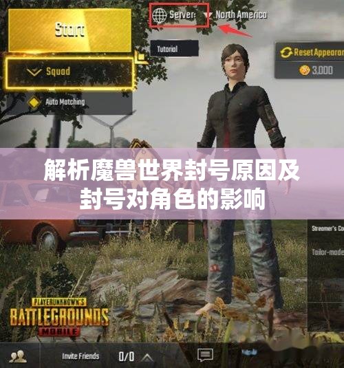 解析魔兽世界封号原因及封号对角色的影响