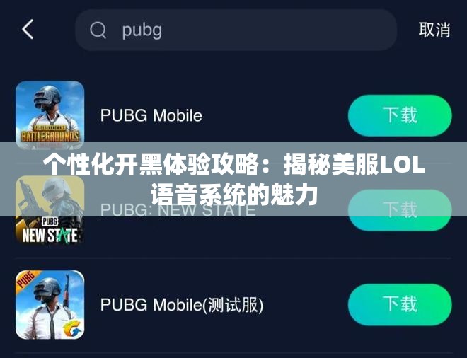 个性化开黑体验攻略：揭秘美服LOL语音系统的魅力