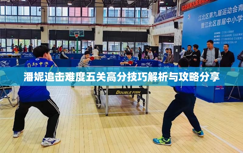 潘妮追击难度五关高分技巧解析与攻略分享