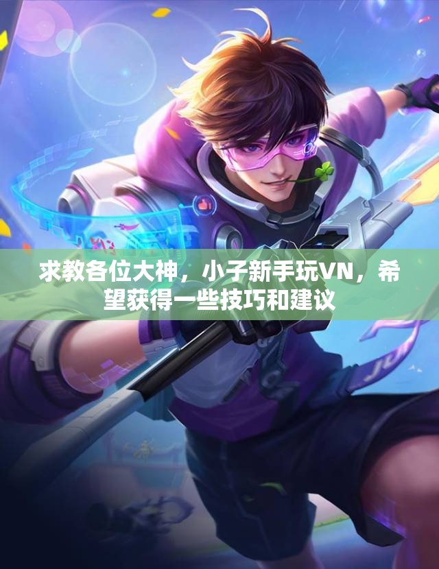 求教各位大神，小子新手玩VN，希望获得一些技巧和建议