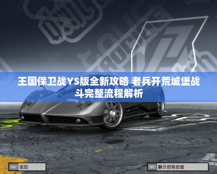 王国保卫战YS版全新攻略 老兵开荒城堡战斗完整流程解析