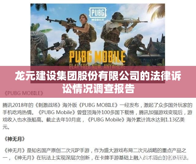 龙元建设集团股份有限公司的法律诉讼情况调查报告