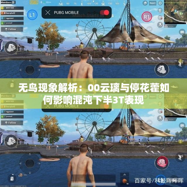无鸟现象解析：00云璃与停花藿如何影响混沌下半3T表现