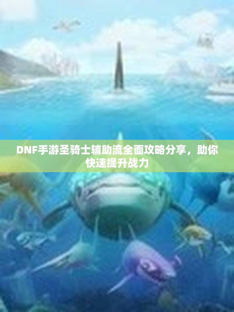 DNF手游圣骑士辅助流全面攻略分享，助你快速提升战力