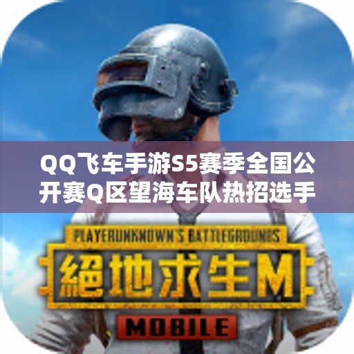 QQ飞车手游S5赛季全国公开赛Q区望海车队热招选手