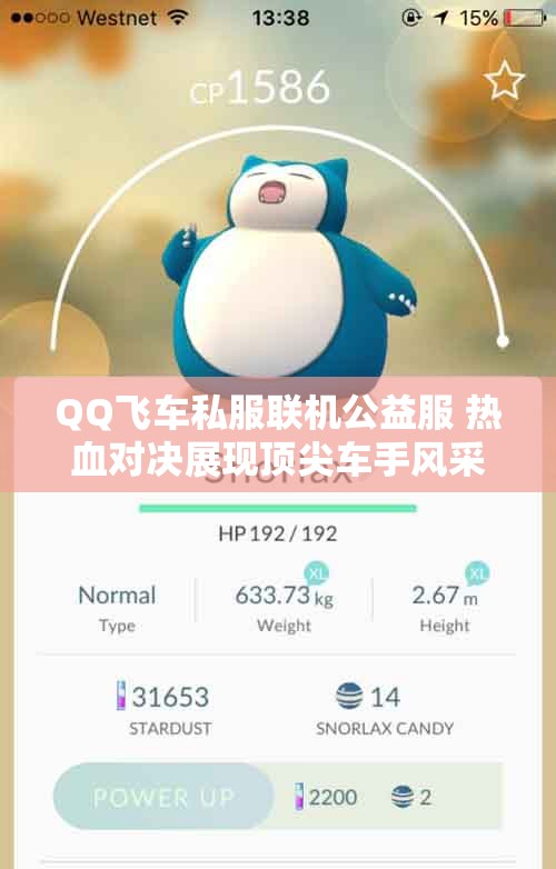 QQ飞车私服联机公益服 热血对决展现顶尖车手风采