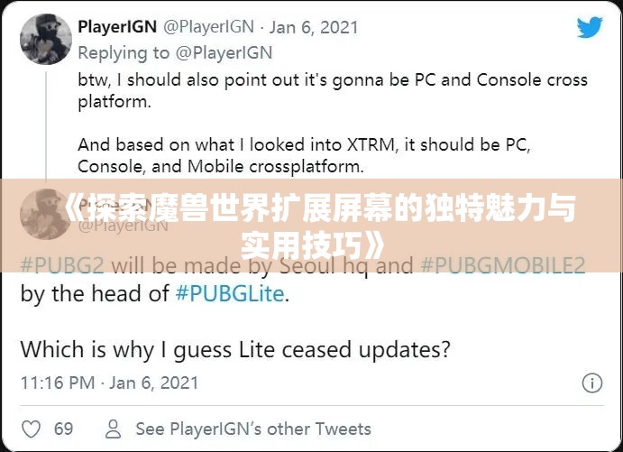 《探索魔兽世界扩展屏幕的独特魅力与实用技巧》