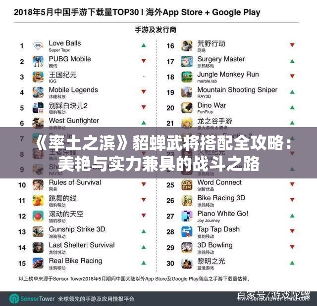 《率土之滨》貂蝉武将搭配全攻略：美艳与实力兼具的战斗之路