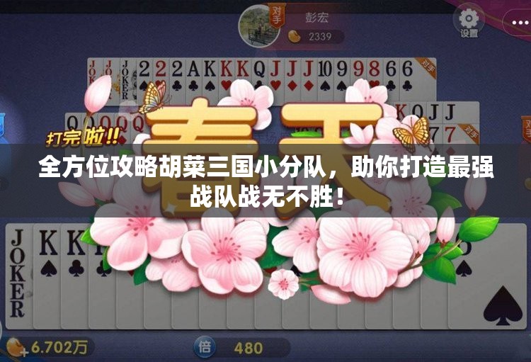 全方位攻略胡菜三国小分队，助你打造最强战队战无不胜！