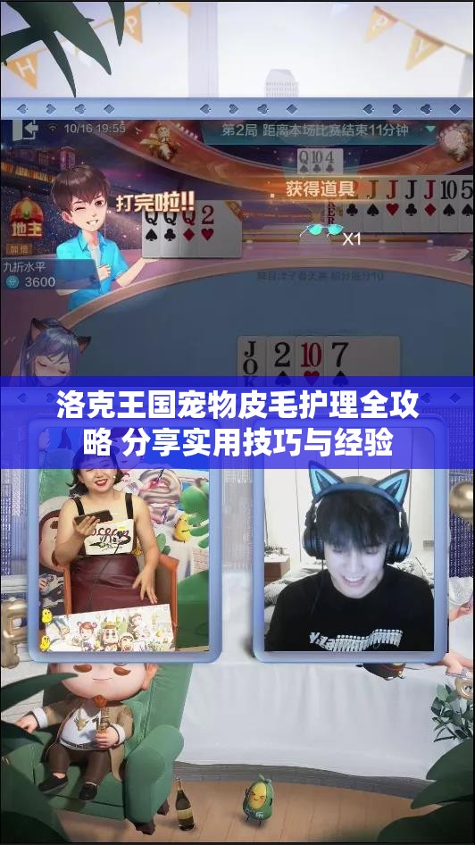 洛克王国宠物皮毛护理全攻略 分享实用技巧与经验