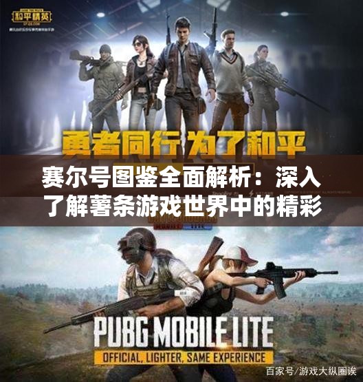 赛尔号图鉴全面解析：深入了解薯条游戏世界中的精彩角色与策略