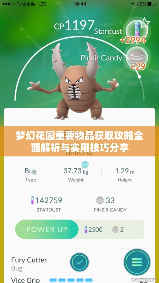 梦幻花园重要物品获取攻略全面解析与实用技巧分享