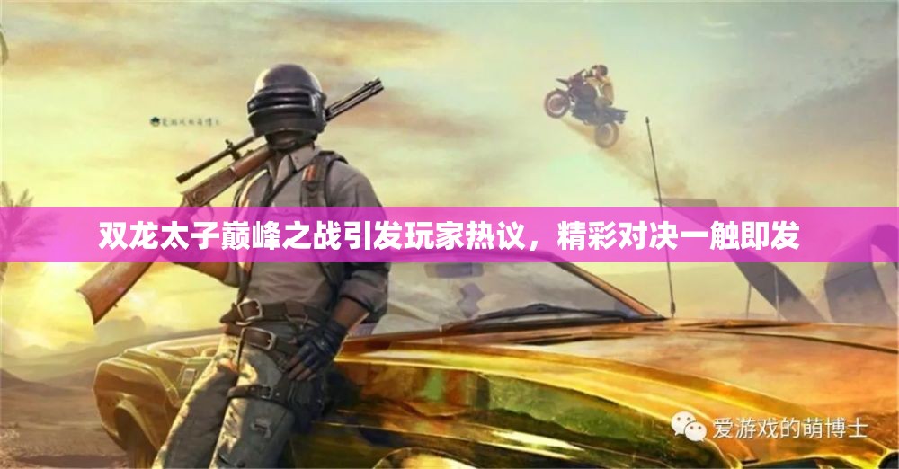 双龙太子巅峰之战引发玩家热议，精彩对决一触即发