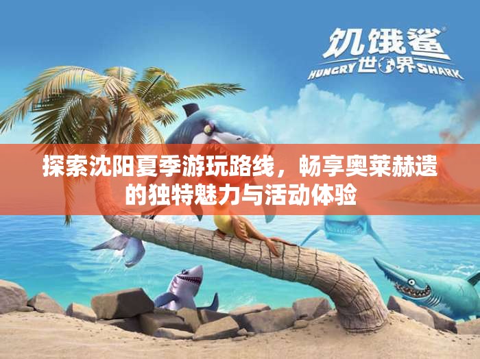 探索沈阳夏季游玩路线，畅享奥莱赫遗的独特魅力与活动体验