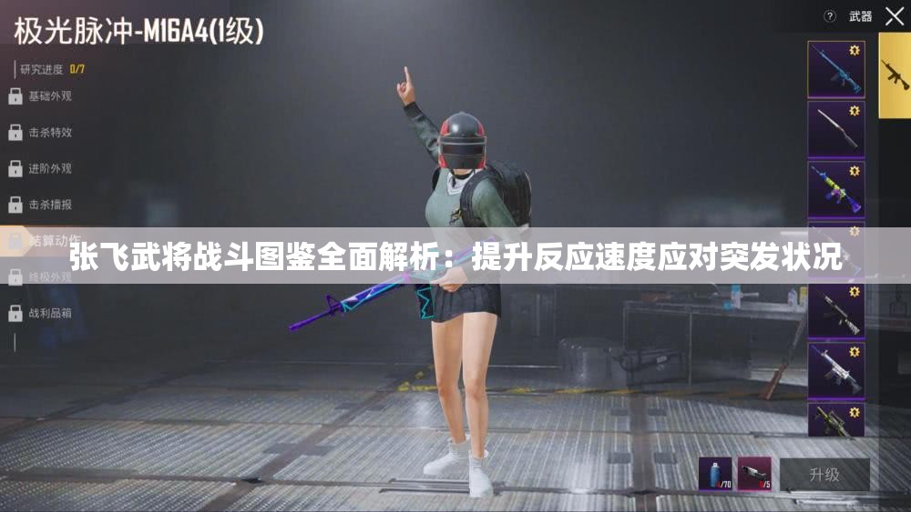 张飞武将战斗图鉴全面解析：提升反应速度应对突发状况