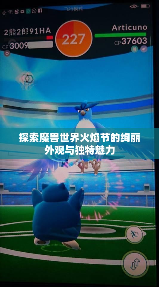 探索魔兽世界火焰节的绚丽外观与独特魅力