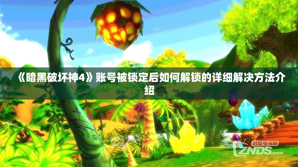 《暗黑破坏神4》账号被锁定后如何解锁的详细解决方法介绍