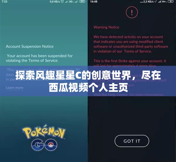 探索风趣星星C的创意世界，尽在西瓜视频个人主页
