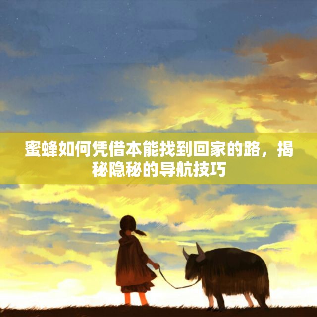蜜蜂如何凭借本能找到回家的路，揭秘隐秘的导航技巧