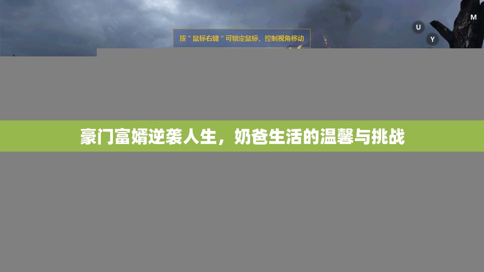 豪门富婿逆袭人生，奶爸生活的温馨与挑战