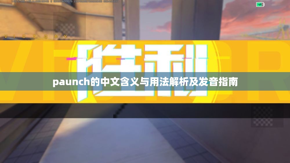 paunch的中文含义与用法解析及发音指南