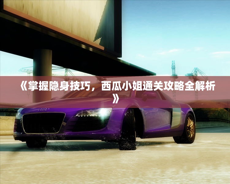 《掌握隐身技巧，西瓜小姐通关攻略全解析》