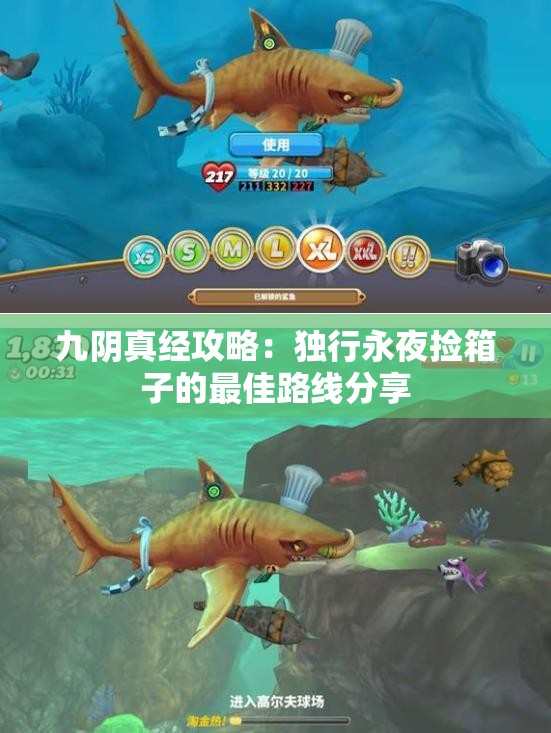 九阴真经攻略：独行永夜捡箱子的最佳路线分享