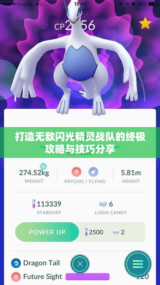 打造无敌闪光精灵战队的终极攻略与技巧分享