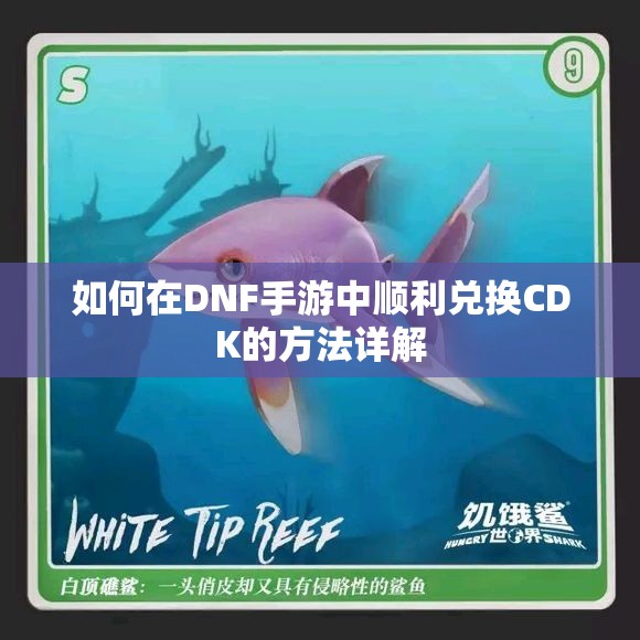 如何在DNF手游中顺利兑换CDK的方法详解