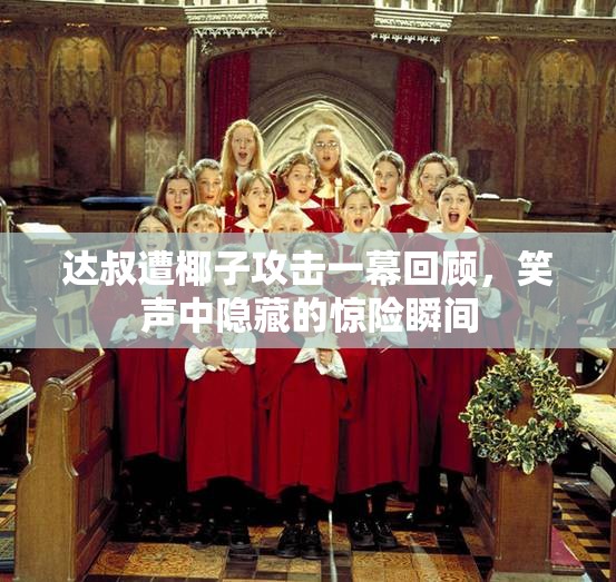 达叔遭椰子攻击一幕回顾，笑声中隐藏的惊险瞬间