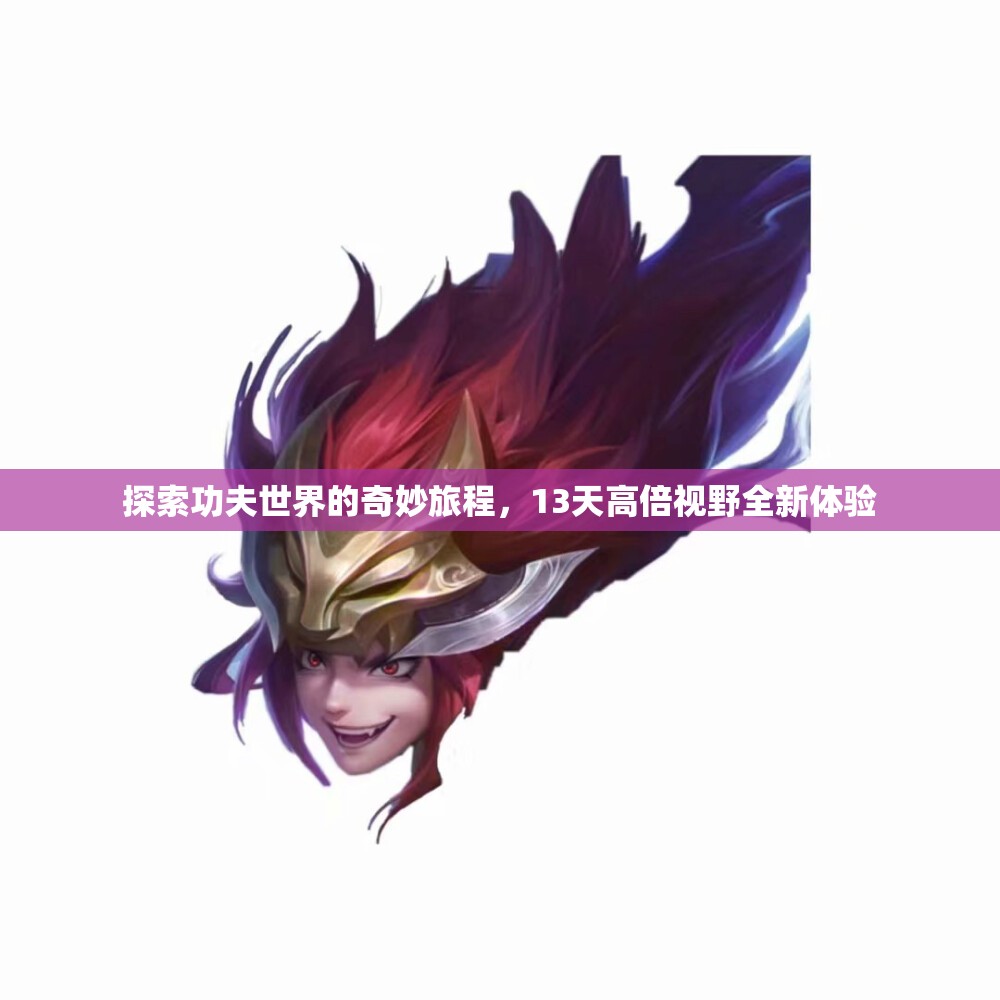探索功夫世界的奇妙旅程，13天高倍视野全新体验