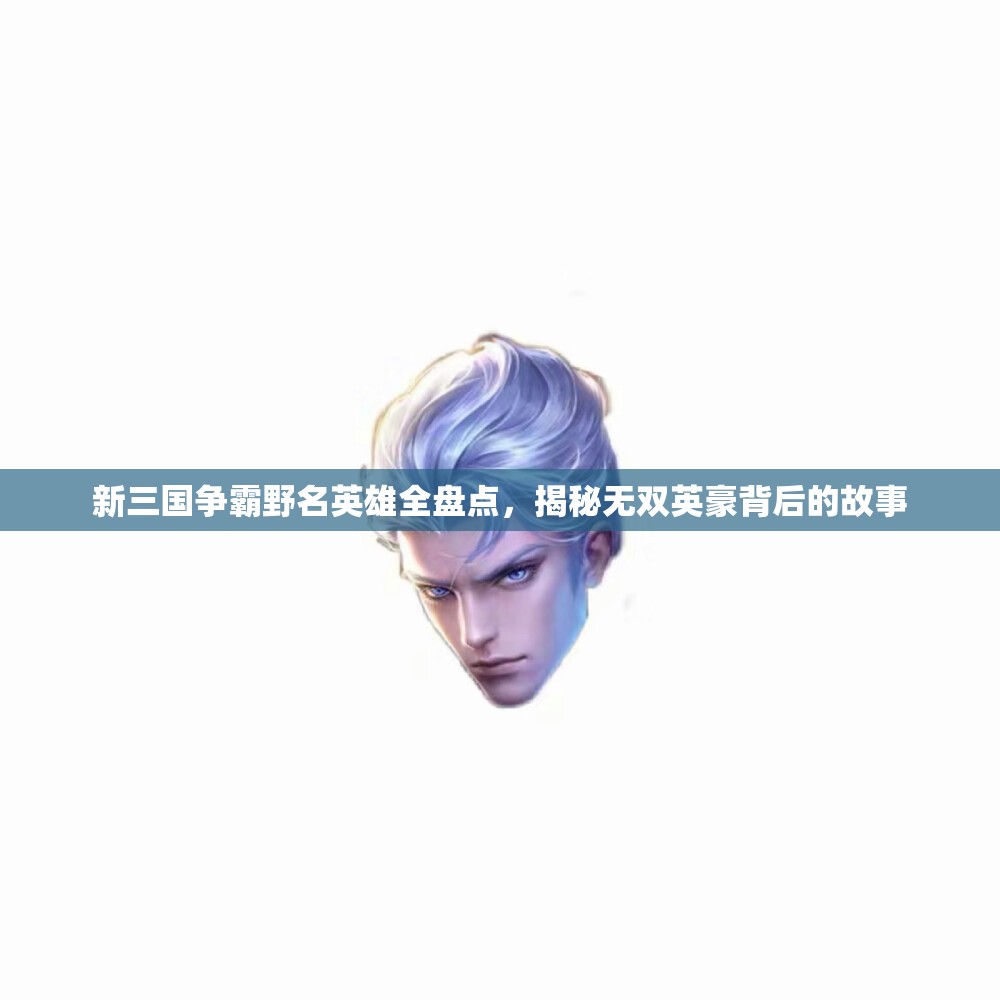 新三国争霸野名英雄全盘点，揭秘无双英豪背后的故事