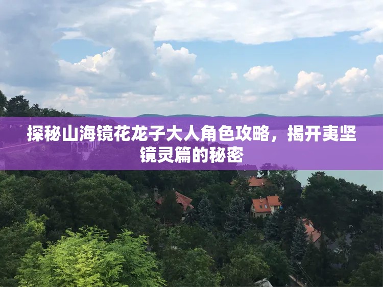 探秘山海镜花龙子大人角色攻略，揭开夷坚镜灵篇的秘密