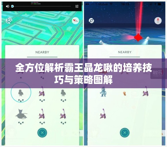 全方位解析霸王晶龙啾的培养技巧与策略图解