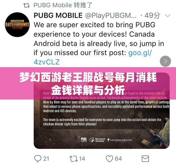 梦幻西游老王服战号每月消耗金钱详解与分析