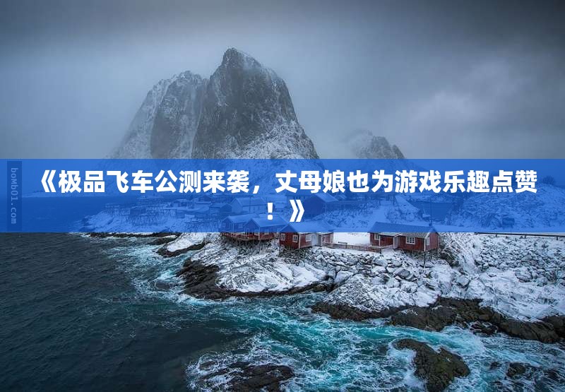 《极品飞车公测来袭，丈母娘也为游戏乐趣点赞！》