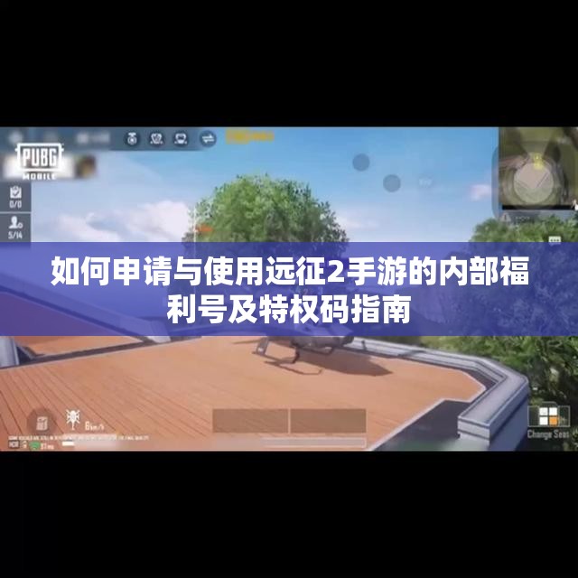 如何申请与使用远征2手游的内部福利号及特权码指南