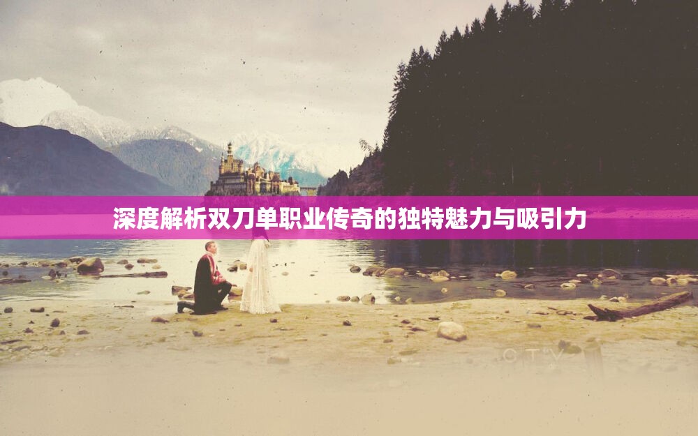 深度解析双刀单职业传奇的独特魅力与吸引力