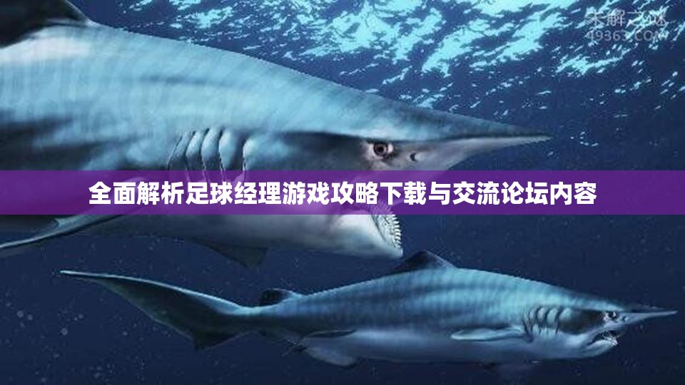 全面解析足球经理游戏攻略下载与交流论坛内容