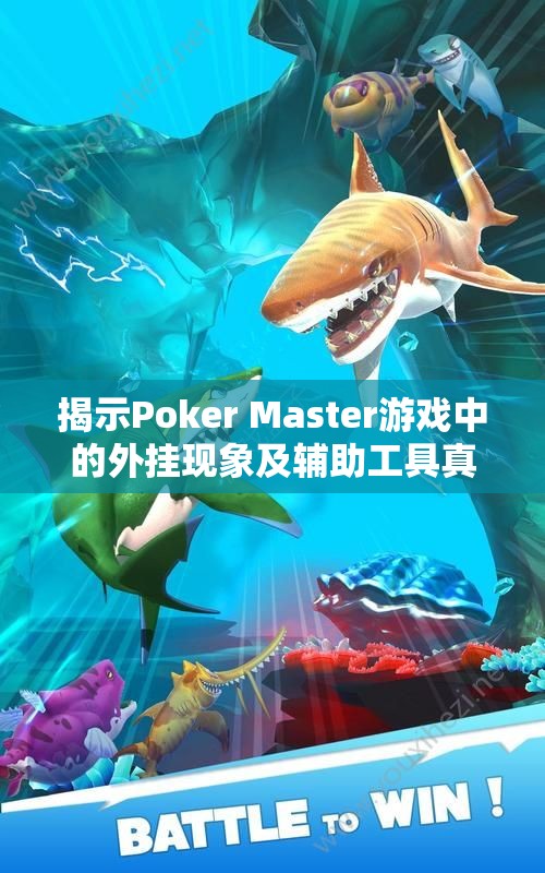 揭示Poker Master游戏中的外挂现象及辅助工具真相
