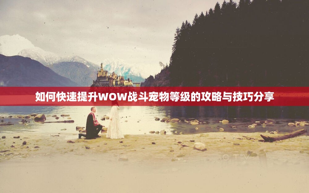 如何快速提升WOW战斗宠物等级的攻略与技巧分享