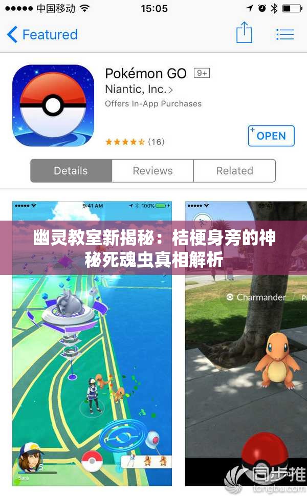 幽灵教室新揭秘：桔梗身旁的神秘死魂虫真相解析