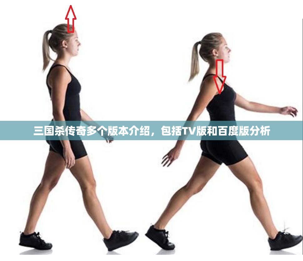 三国杀传奇多个版本介绍，包括TV版和百度版分析