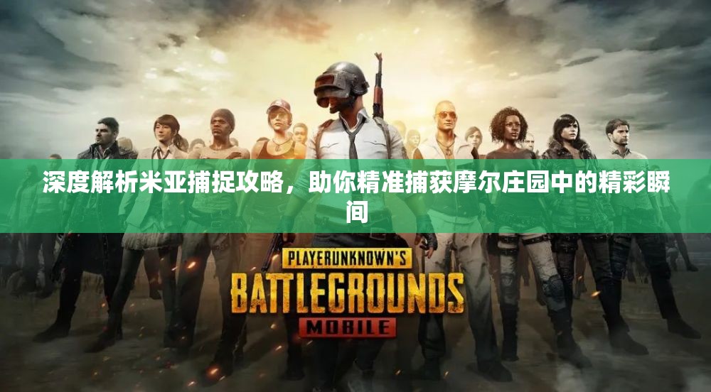 深度解析米亚捕捉攻略，助你精准捕获摩尔庄园中的精彩瞬间