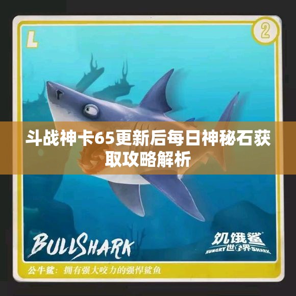 斗战神卡65更新后每日神秘石获取攻略解析