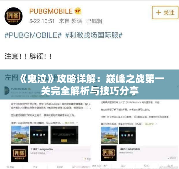 《鬼泣》攻略详解：巅峰之战第一关完全解析与技巧分享