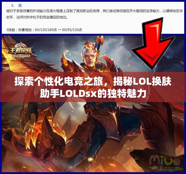 探索个性化电竞之旅，揭秘LOL换肤助手LOLDsx的独特魅力